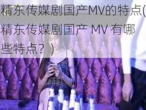 精东传媒剧国产MV的特点(精东传媒剧国产 MV 有哪些特点？)