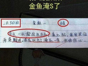 沙雕日记：收债大嫂图文攻略指南：教你如何有效追踪和催收回款技巧全面解析