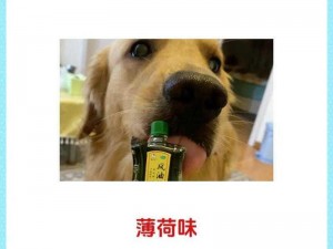 狗狗的东西又大又烫，厚实不刺激，环保无异味，让狗狗用得放心