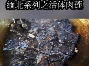 诡异的活体肉莲？逼真的手工制品