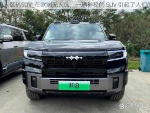 欧洲无人区码SUV_在欧洲无人区，一辆神秘的 SUV 引起了人们的注意