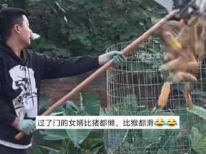 女婿的东西比老公还大;女婿的东西比老公还大，这正常吗？