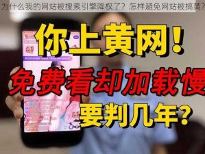 为什么我的网站被搜索引擎降权了？怎样避免网站被搞黄？