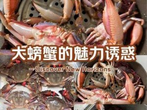 荒岛求生：细致解读烤螃蟹全流程方法