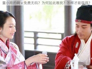 董小宛的啊 v 免费无码？为何如此难找？怎样才能获得？