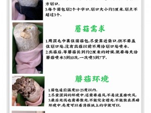 珊瑚岛蘑菇种植全攻略：环境准备与培育技术指南