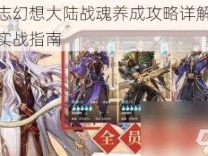 三国志幻想大陆战魂养成攻略详解：解析与实战指南