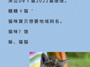 猫咪社区的永久地域网名是多少？如何找到适合的猫咪社区地域网名？