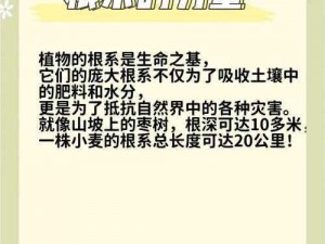 张玉梅肥沃土地，改善土壤结构，提高土壤肥力，让植物茁壮成长