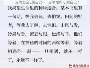 一支笔怎么C哭自己—一支笔如何 C 哭自己？