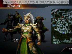 《深入探究《真三国无双》中飞路人战攻略及心德实录》