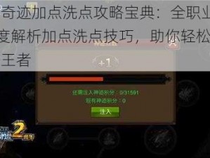 全民奇迹加点洗点攻略宝典：全职业篇——深度解析加点洗点技巧，助你轻松成为巅峰王者