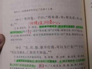 笔趣阁周莹博士王伟忠第十四篇为什么这么火？如何找到其最新章节？