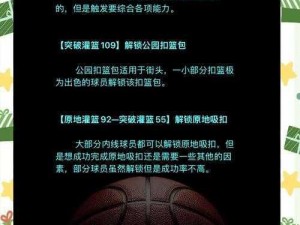 全面解读《NBA 2K10》游戏倾向性翻译探究