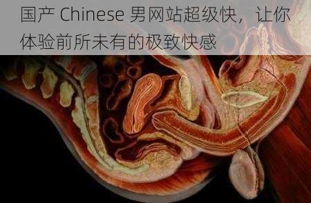 国产 Chinese 男网站超级快，让你体验前所未有的极致快感