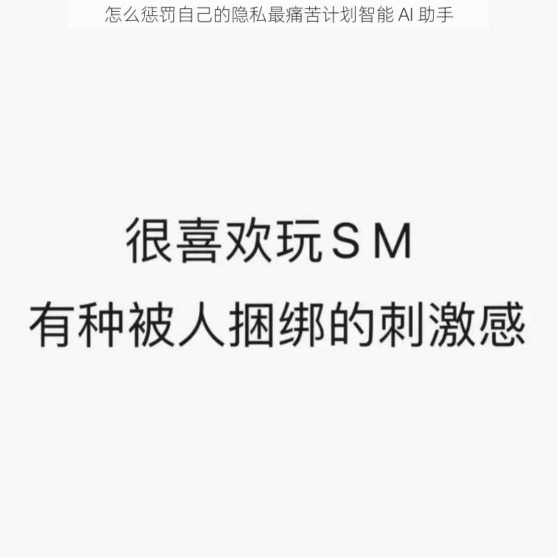 怎么惩罚自己的隐私最痛苦计划智能 AI 助手