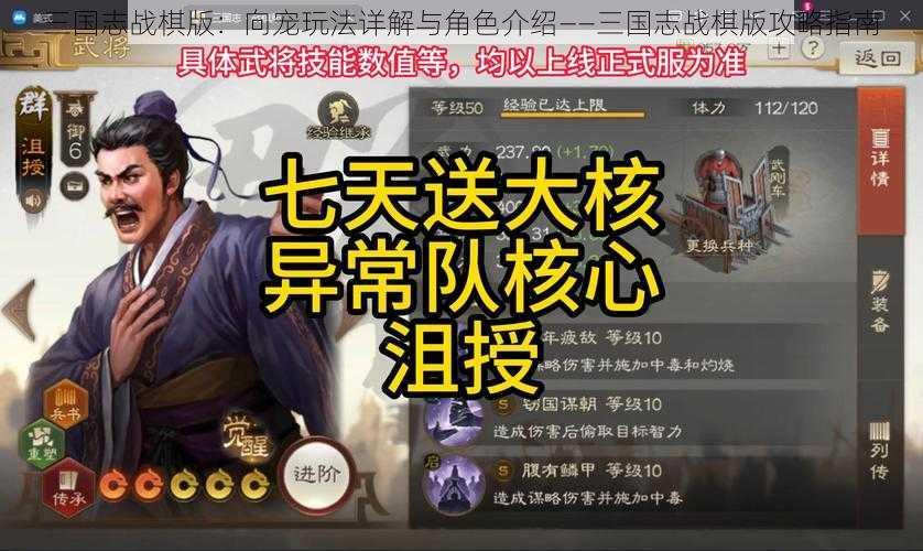 三国志战棋版：向宠玩法详解与角色介绍——三国志战棋版攻略指南