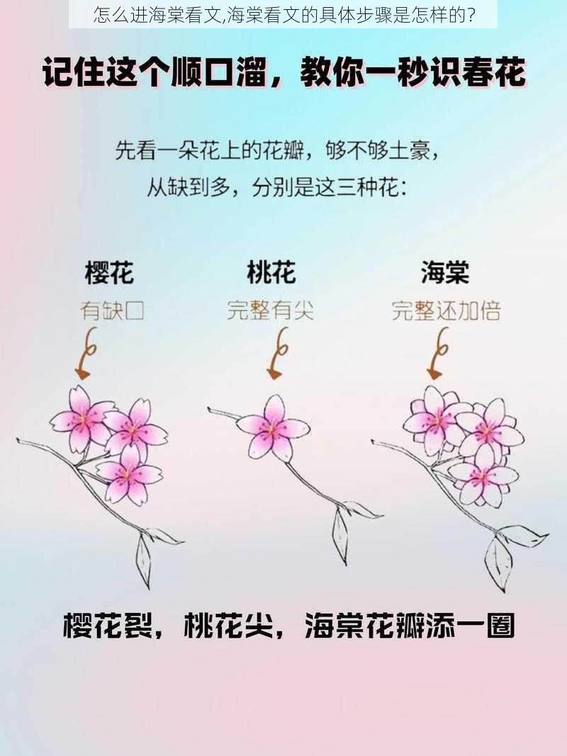 怎么进海棠看文,海棠看文的具体步骤是怎样的？