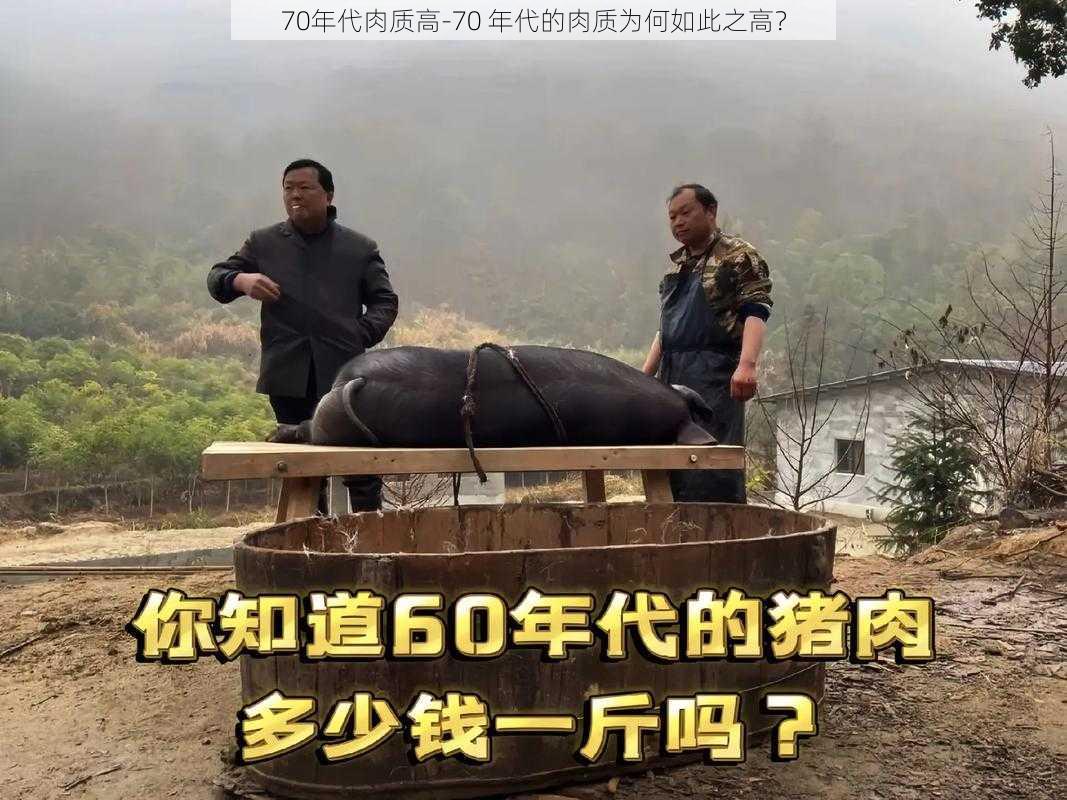 70年代肉质高-70 年代的肉质为何如此之高？