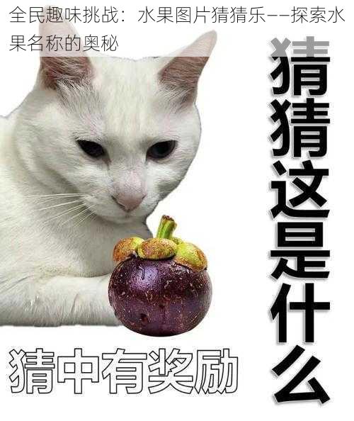 全民趣味挑战：水果图片猜猜乐——探索水果名称的奥秘