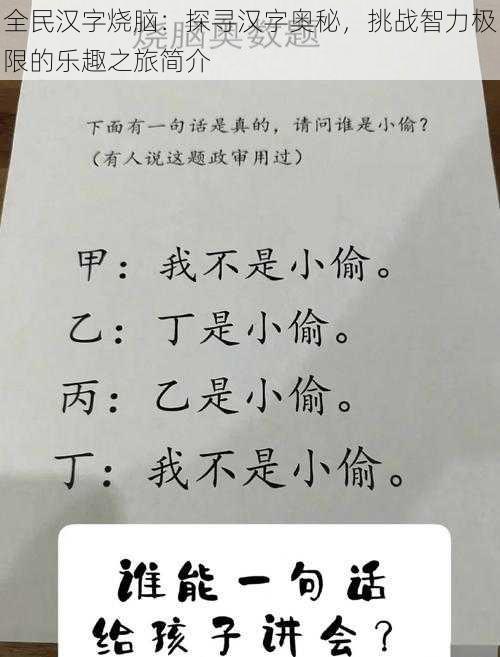 全民汉字烧脑：探寻汉字奥秘，挑战智力极限的乐趣之旅简介