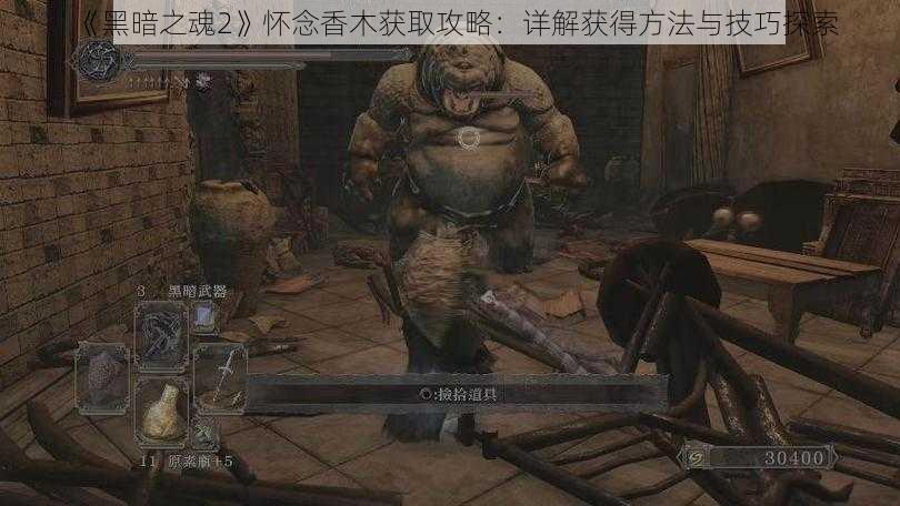 《黑暗之魂2》怀念香木获取攻略：详解获得方法与技巧探索