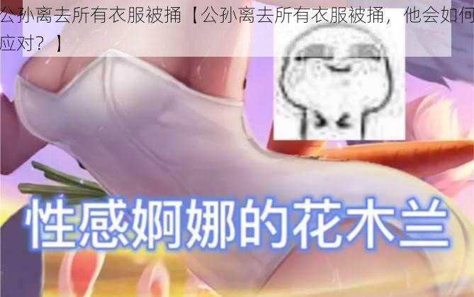 公孙离去所有衣服被捅【公孙离去所有衣服被捅，他会如何应对？】