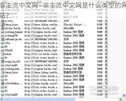 非主流中文网—非主流中文网是什么类型的网站？