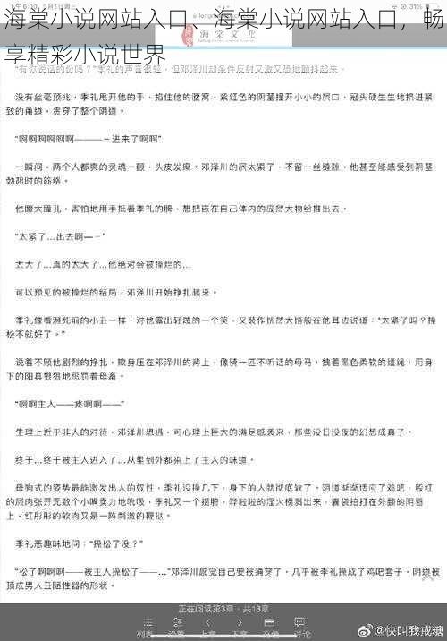 海棠小说网站入口、海棠小说网站入口，畅享精彩小说世界