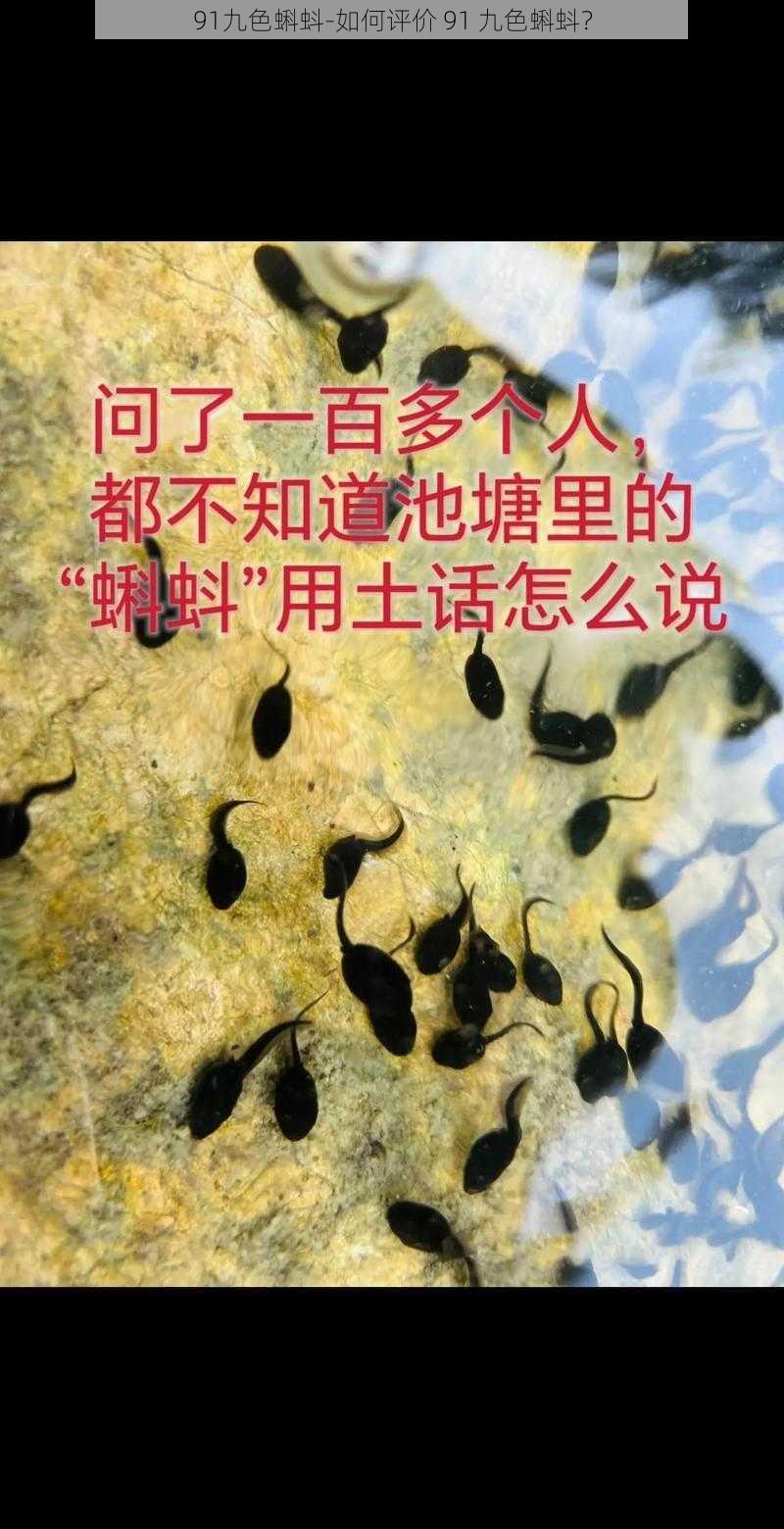 91九色蝌蚪-如何评价 91 九色蝌蚪？