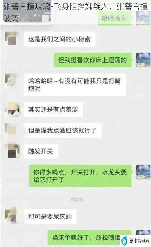 张警官撞玻璃-飞身阻挡嫌疑人，张警官撞玻璃