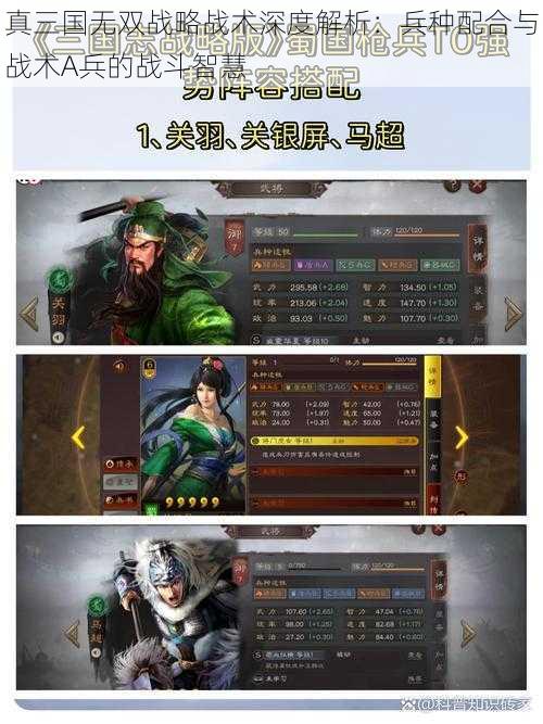 真三国无双战略战术深度解析：兵种配合与战术A兵的战斗智慧