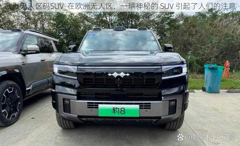 欧洲无人区码SUV_在欧洲无人区，一辆神秘的 SUV 引起了人们的注意