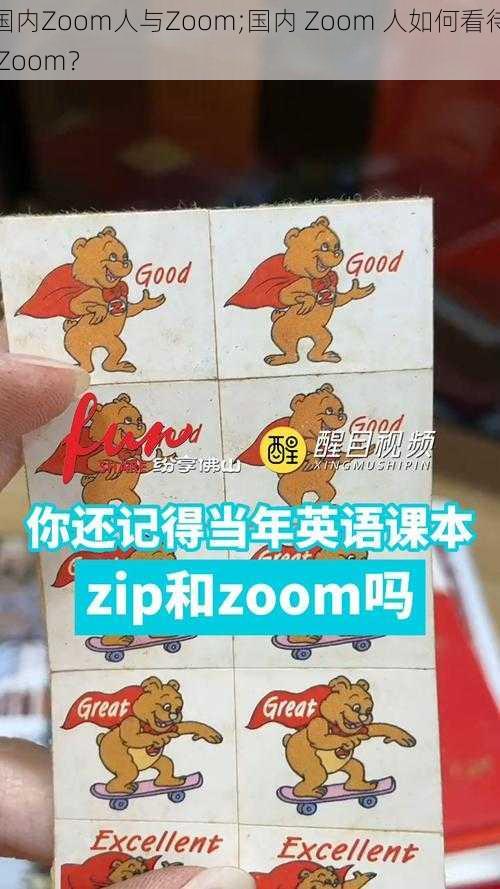 国内Zoom人与Zoom;国内 Zoom 人如何看待 Zoom？