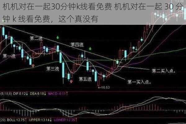 机机对在一起30分钟k线看免费 机机对在一起 30 分钟 k 线看免费，这个真没有