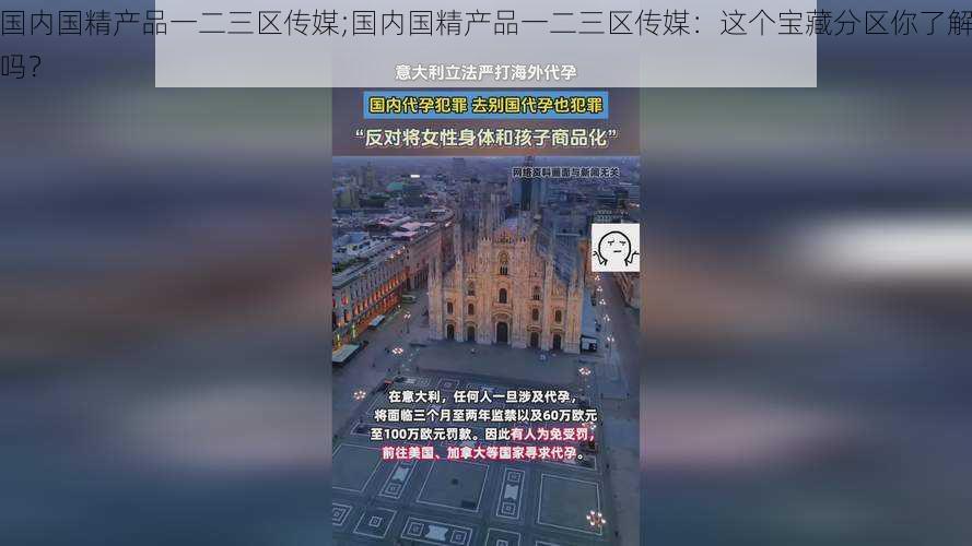 国内国精产品一二三区传媒;国内国精产品一二三区传媒：这个宝藏分区你了解吗？