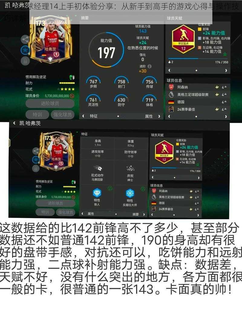 FIFA足球经理14上手初体验分享：从新手到高手的游戏心得与操作技巧详解