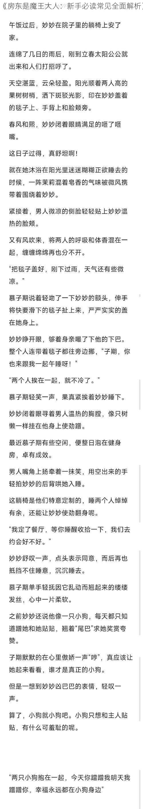 《房东是魔王大人：新手必读常见全面解析》