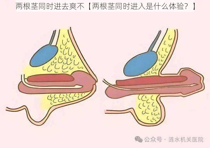 两根茎同时进去爽不【两根茎同时进入是什么体验？】