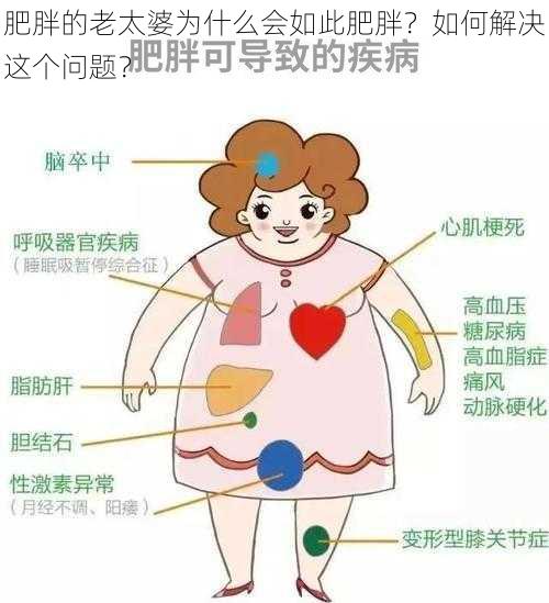 肥胖的老太婆为什么会如此肥胖？如何解决这个问题？