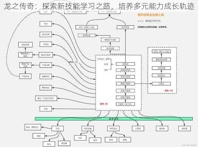 龙之传奇：探索新技能学习之路，培养多元能力成长轨迹