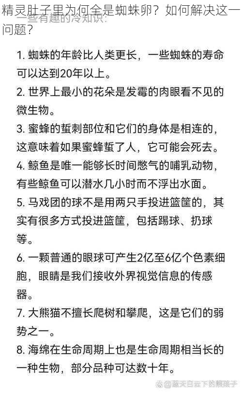 精灵肚子里为何全是蜘蛛卵？如何解决这一问题？