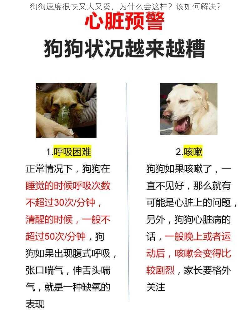 狗狗速度很快又大又烫，为什么会这样？该如何解决？