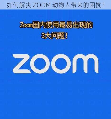 如何解决 ZOOM 动物人带来的困扰？