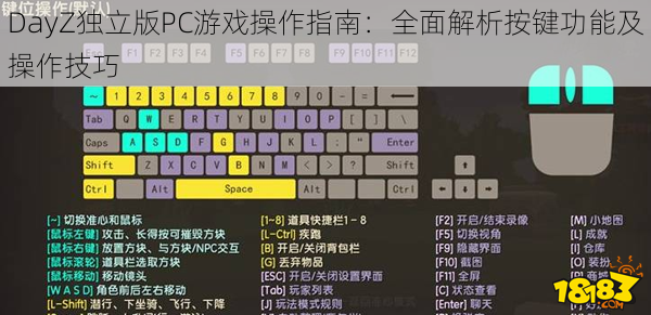 DayZ独立版PC游戏操作指南：全面解析按键功能及操作技巧