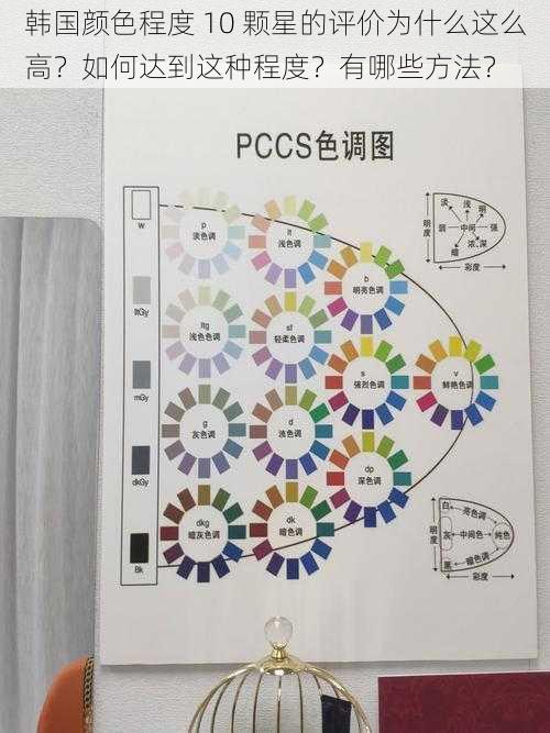 韩国颜色程度 10 颗星的评价为什么这么高？如何达到这种程度？有哪些方法？