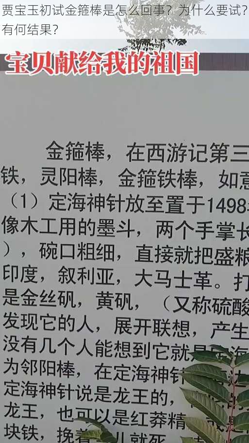 贾宝玉初试金箍棒是怎么回事？为什么要试？有何结果？