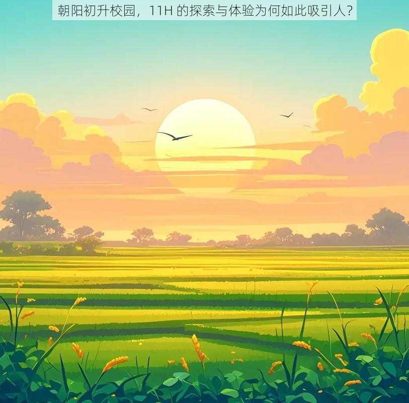 朝阳初升校园，11H 的探索与体验为何如此吸引人？