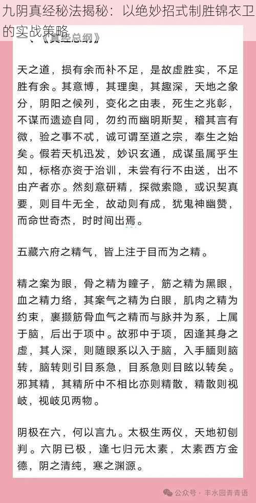 九阴真经秘法揭秘：以绝妙招式制胜锦衣卫的实战策略