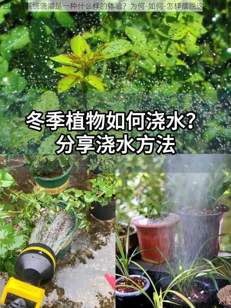 日常被系统浇灌是一种什么样的体验？为何-如何-怎样摆脱这种状态？